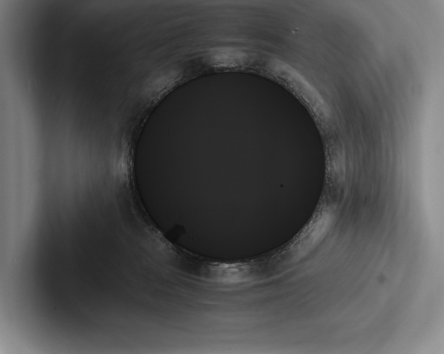 X0000103130277200809051616