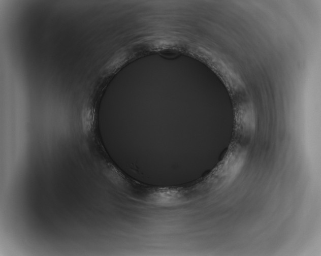 X0000103130278200809051616