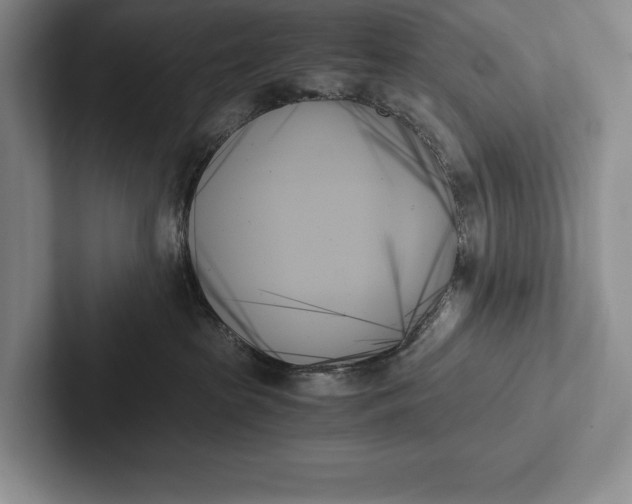 X0000103130285200809051616