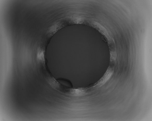 X0000103130286200809051616