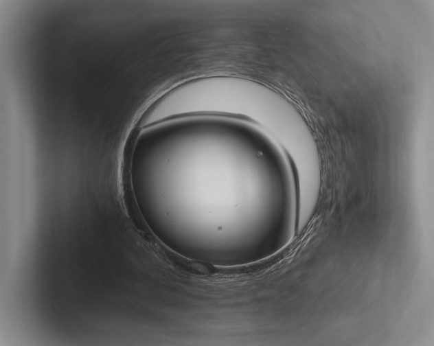 X0000103130292200809051615