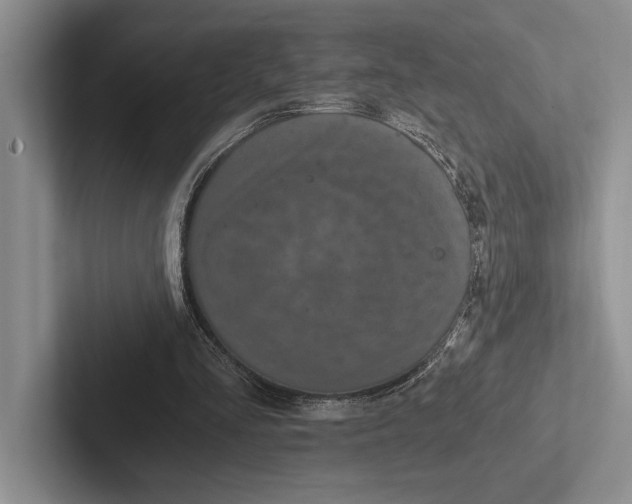 X0000103130293200809051615