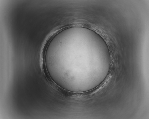 X0000103130294200809051615