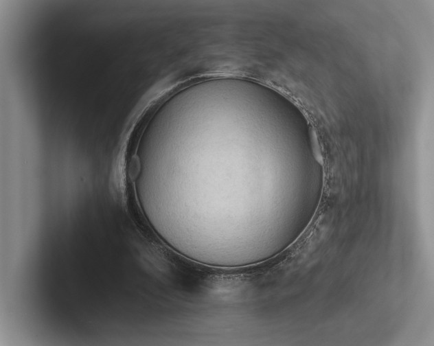 X0000103130296200809051615