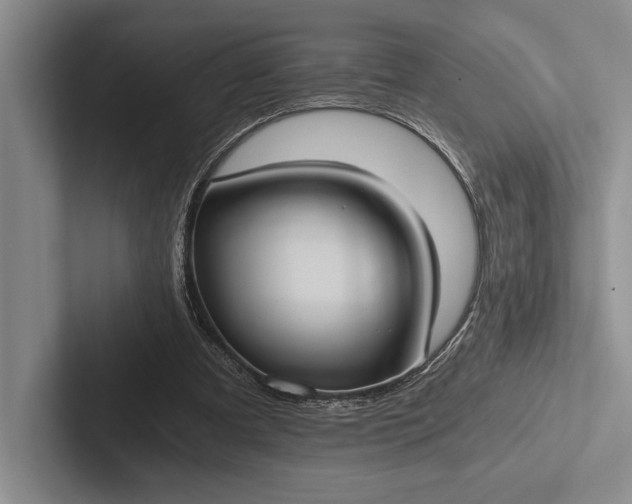X0000103130297200809051615