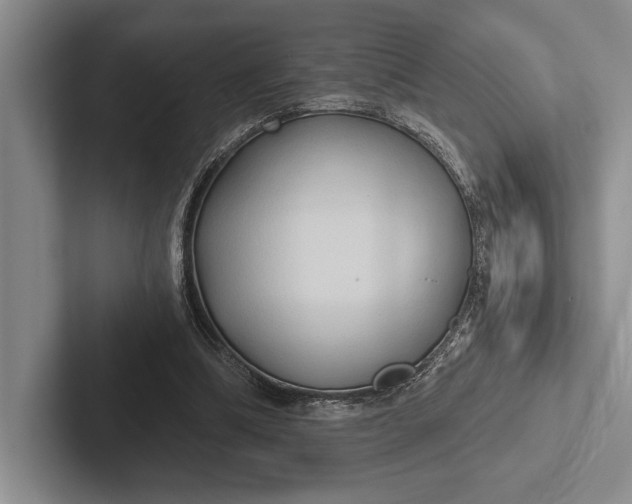 X0000103130298200809051615