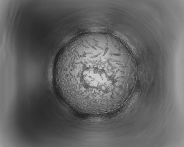 X0000103130299200809051615