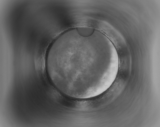 X0000103130301200809051615