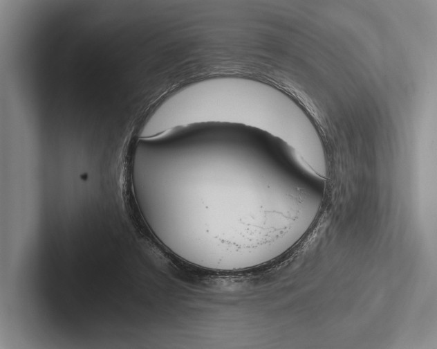 X0000103130305200809051615