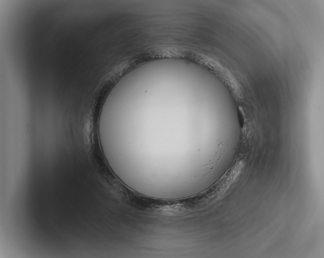 X0000103130306200809051615