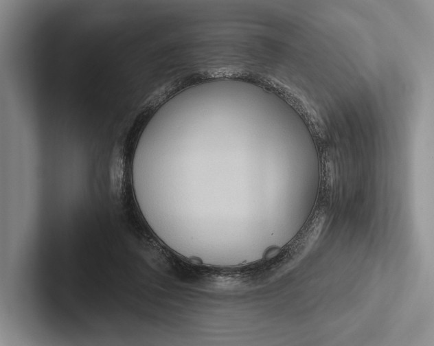 X0000103130308200809051615