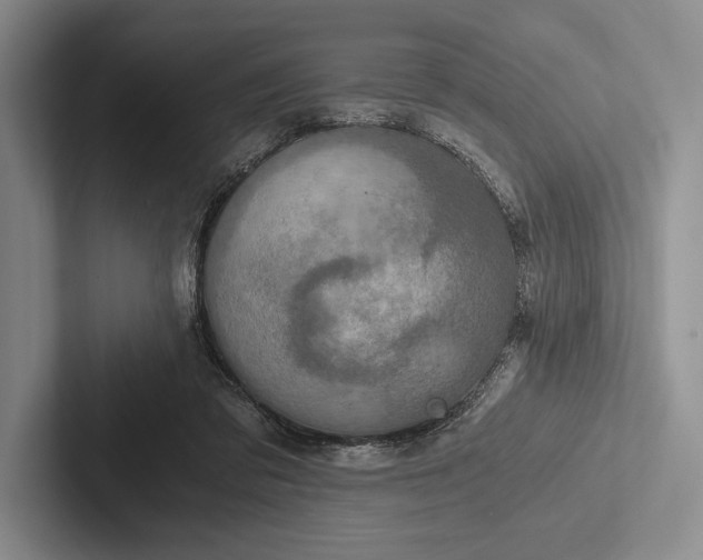 X0000103130309200809051615