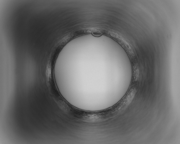 X0000103130310200809051615
