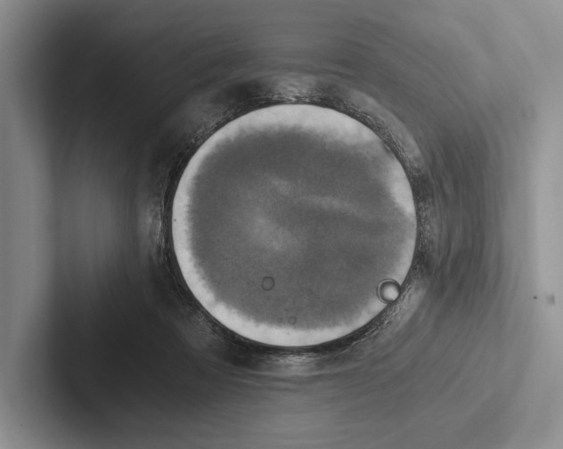 X0000103130313200809051615