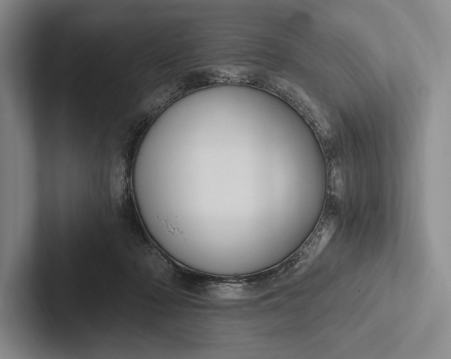 X0000103130318200809051615