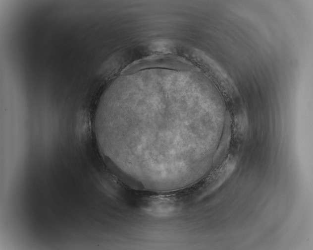 X0000103130320200809051615