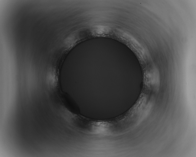 X0000103130324200809051615