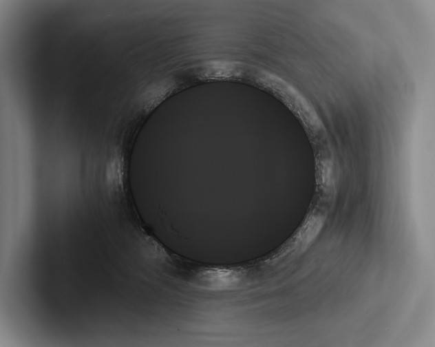 X0000103130326200809051615
