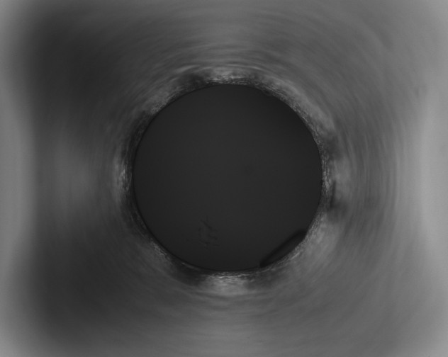 X0000103130327200809051615