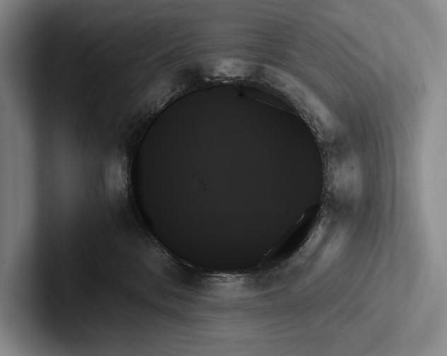 X0000103130328200809051615
