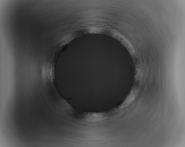 X0000103130329200809051615