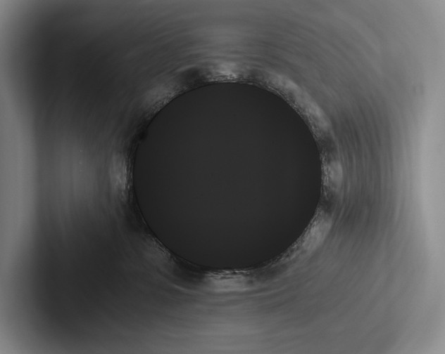 X0000103130331200809051615