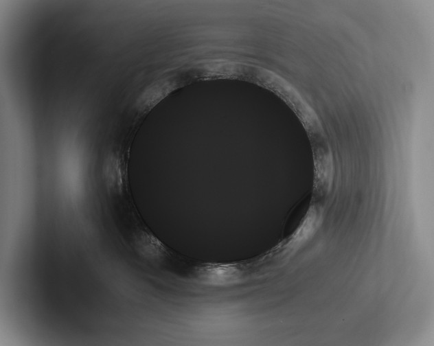 X0000103130333200809051615
