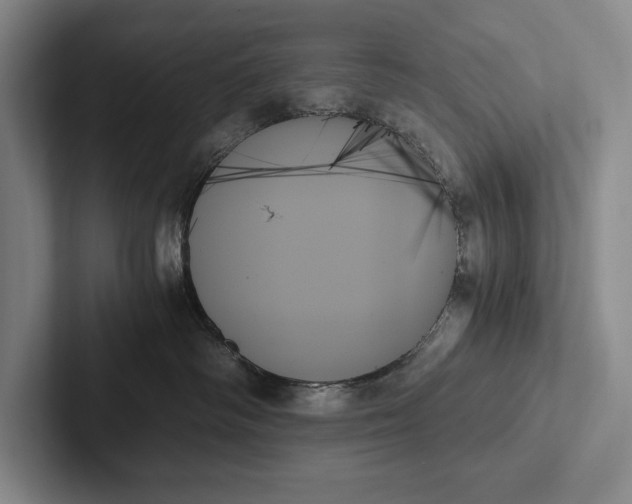 X0000103130334200809051615