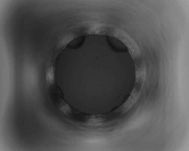 X0000103130335200809051614