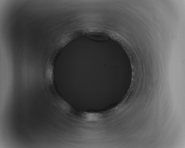 X0000103130336200809051614