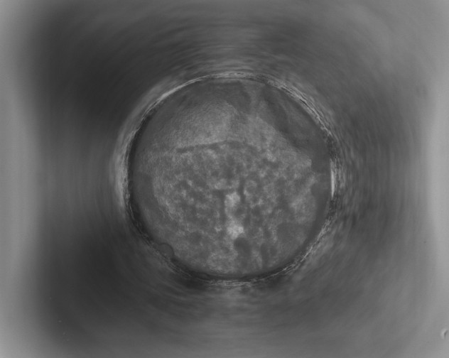 X0000103130339200809051614