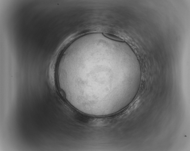 X0000103130341200809051614