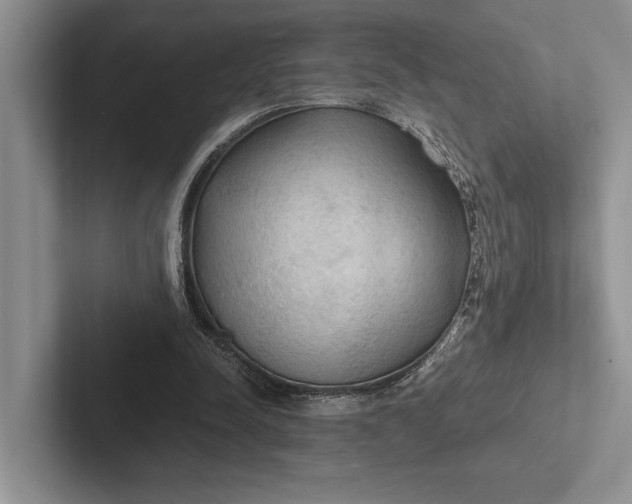 X0000103130342200809051614