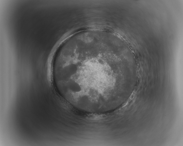 X0000103130343200809051614