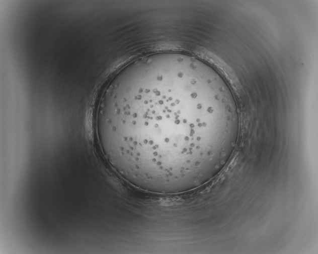 X0000103130345200809051614