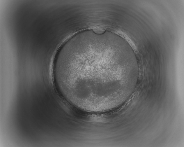 X0000103130346200809051614