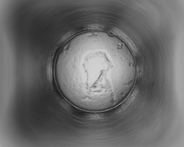 X0000103130349200809051614