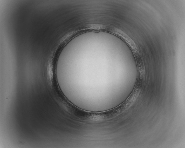 X0000103130350200809051614
