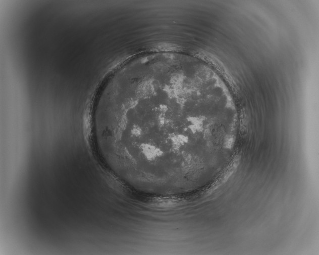 X0000103130351200809051614