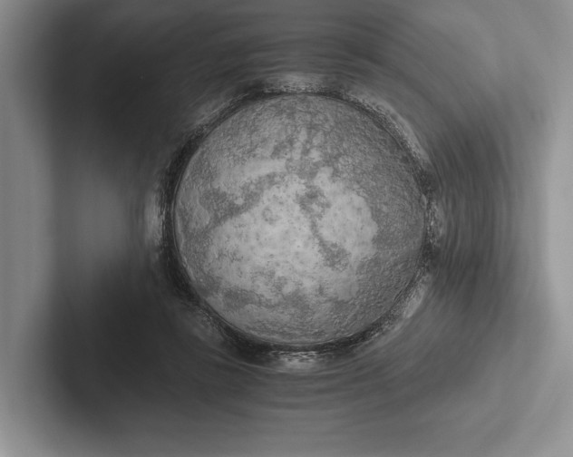 X0000103130355200809051614