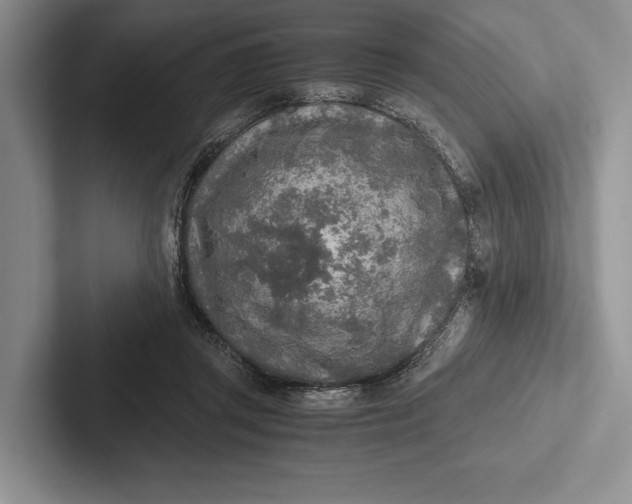 X0000103130357200809051614