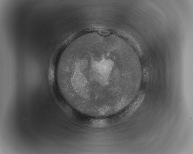X0000103130358200809051614