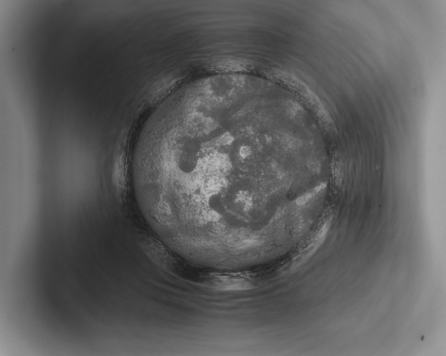 X0000103130359200809051614