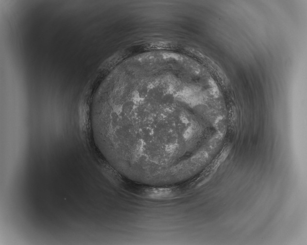 X0000103130361200809051614