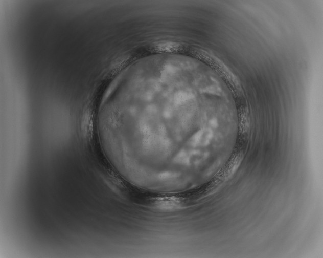 X0000103130363200809051614