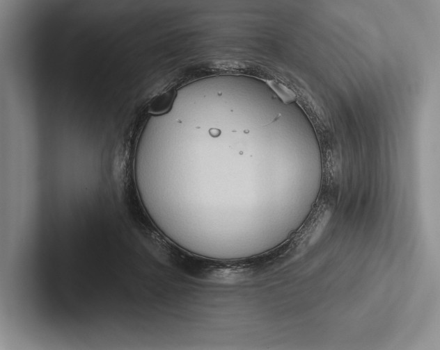 X0000103130364200809051614