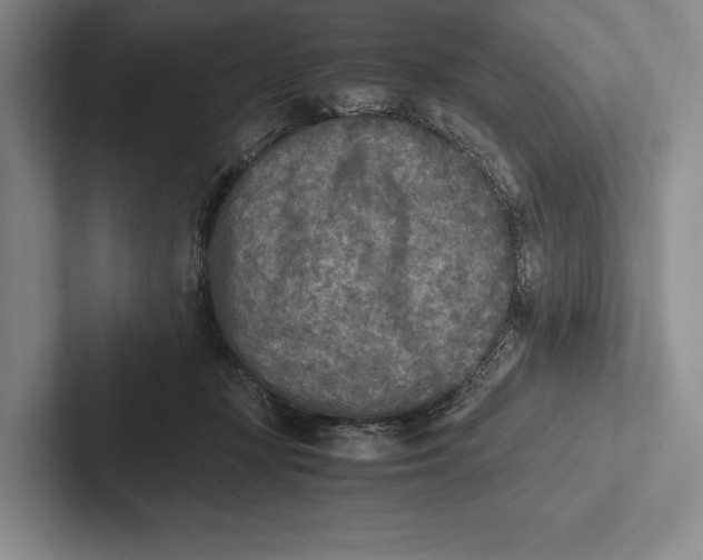 X0000103130367200809051614