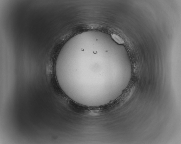 X0000103130368200809051614