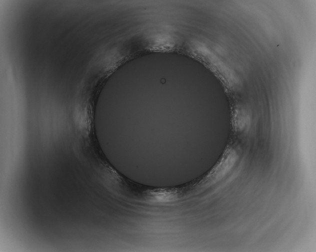 X0000103130370200809051614