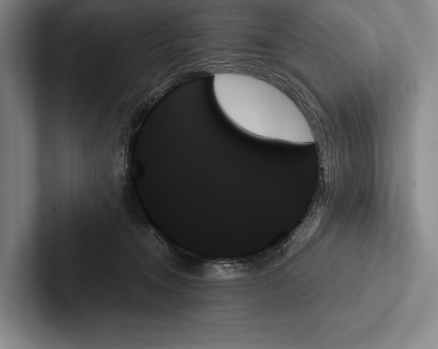 X0000103130372200809051614